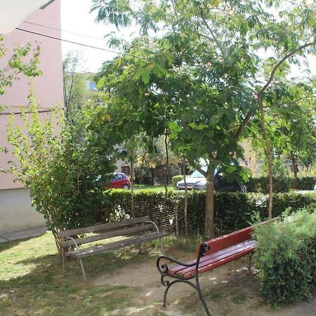 דירות Tîrgu Ocna Apartament Anca מראה חיצוני תמונה